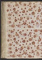 ku-speccoll:20728-342