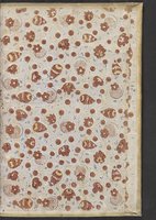 ku-speccoll:20728-343