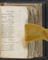ku-speccoll:21625-13