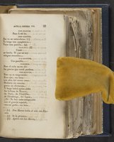 ku-speccoll:21625-29