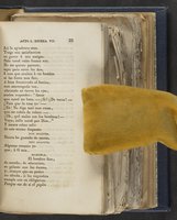 ku-speccoll:21625-31