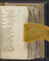 ku-speccoll:21625-35