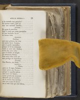ku-speccoll:21625-45
