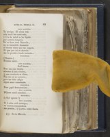 ku-speccoll:21625-49