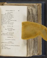 ku-speccoll:21625-53