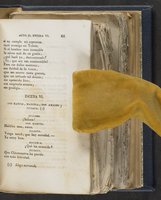 ku-speccoll:21625-67