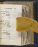 ku-speccoll:21625-73