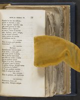 ku-speccoll:21625-79
