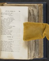 ku-speccoll:21625-85
