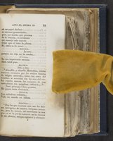 ku-speccoll:21625-87
