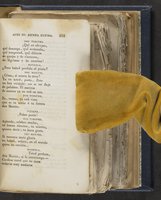ku-speccoll:21625-117