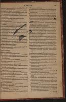 ku-speccoll:3938-577