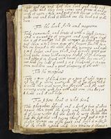ku-speccoll:477-78