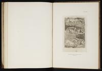 ku-speccoll:5193-243