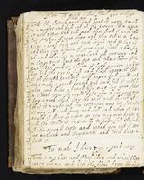 ku-speccoll:477-128