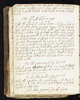 ku-speccoll:477-28
