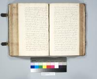 ku-speccoll:6137-231