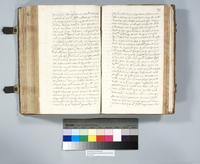 ku-speccoll:6137-294