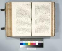 ku-speccoll:6137-295