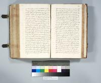 ku-speccoll:6137-296