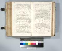 ku-speccoll:6137-302