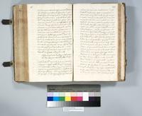 ku-speccoll:6137-303