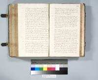 ku-speccoll:6137-309