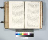 ku-speccoll:6137-310