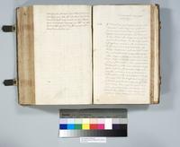 ku-speccoll:6137-311