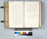 ku-speccoll:6137-318