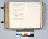 ku-speccoll:6137-324