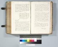 ku-speccoll:6137-344