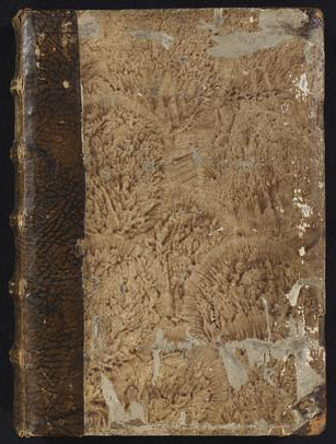 Regula (Prima), with commentaries in Latin (MS E36)