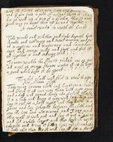 ku-speccoll:477-217