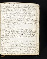 ku-speccoll:477-35