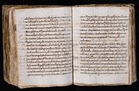 ku-speccoll:7051-409