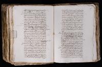 ku-speccoll:7051-445