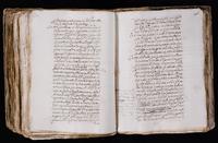 ku-speccoll:7051-446