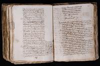 ku-speccoll:7051-447