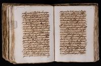 ku-speccoll:7051-462