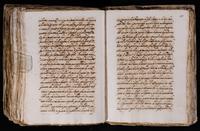 ku-speccoll:7051-493