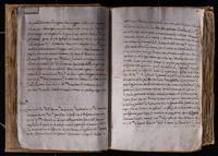 ku-speccoll:8176-111