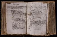 ku-speccoll:8176-251