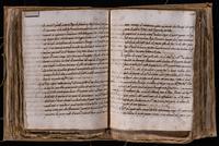 ku-speccoll:8176-349