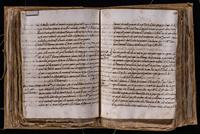 ku-speccoll:8176-352