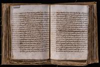 ku-speccoll:8176-355