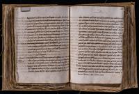 ku-speccoll:8176-356