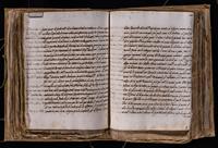 ku-speccoll:8176-358