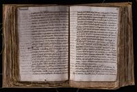 ku-speccoll:8176-381