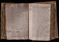 ku-speccoll:8176-394